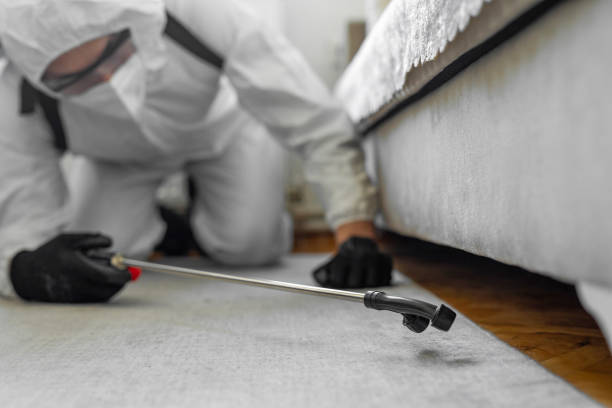 Professional Termite Control technician working in Grandview, TX